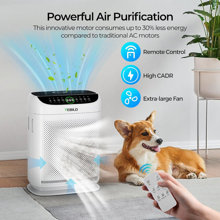 TEBILD 3,000 Sq Ft. Air Purifier  -  Built in PM2.5 Air Monitor